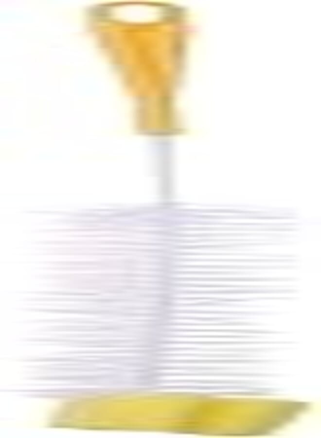 Large Bottle Cleaning Brush - Assorted Colors