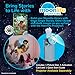 Moonlite Storytime Disneys Encanto Mystery in The Rain Forest A Magical Way to Read Together Projector Sold Separately Digital Story Magic Learning Gifts for Kids Ages 1 Year Up - Image 4