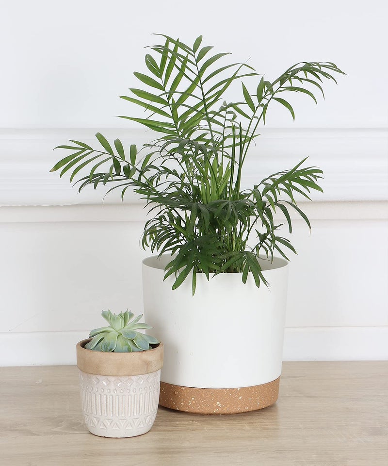 kubvici Indoor Plant Pots Planters 8 inch Plastic Planter with Hole & Saucer Flower Pots Modern Decorative for Outdoor Garden Home (White x 3 Pack) - Image 2