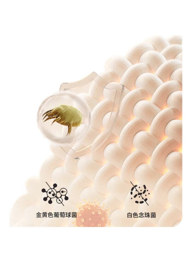 GB Boys' Underwear, Boys' Class A Pure Cotton Shorts, 5A Antibacterial Boxer Briefs For Boys, Baby Underwear - Light Blue - Image 1