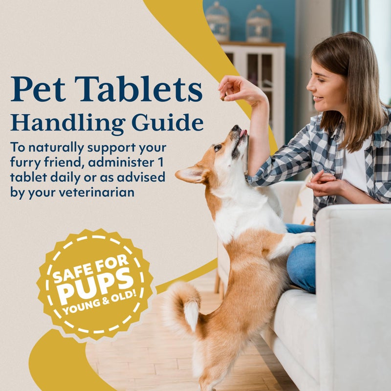 Ayush Herbs Ayush Pet Livit-2 - Dog Liver Support Supplement, Natural Liver Support for Cats, Dogs & Horses, Supports Overall Wellness, Healthy Skin and Coat for Pets - 90 Tablets - Image 5