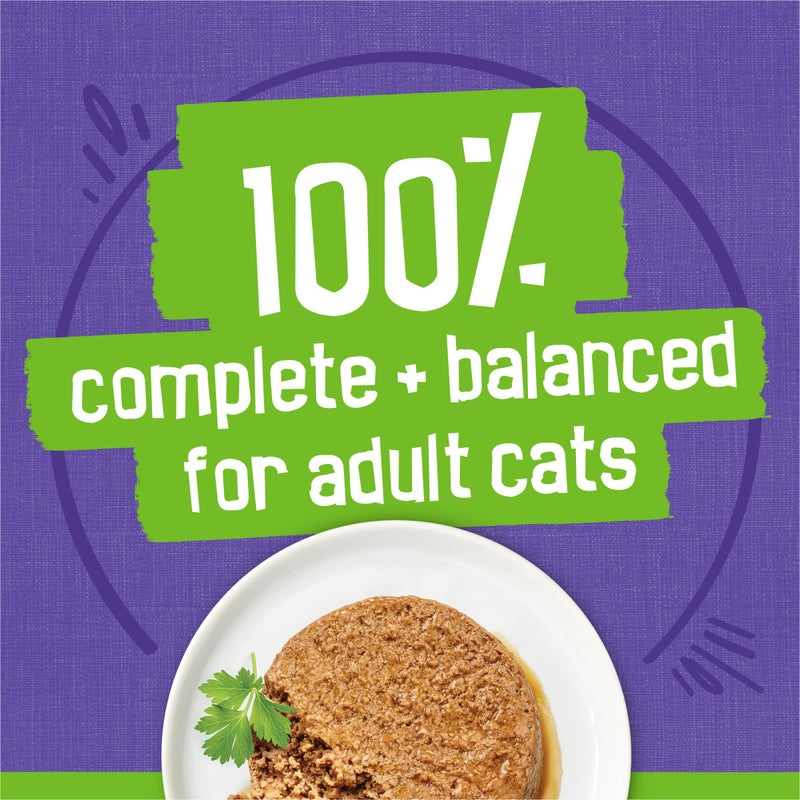 Friskies Purina Friskies Pate Wet Cat Food Variety Pack Seafood and Chicken Pate Favorites - 48 ct. Can - Image 5