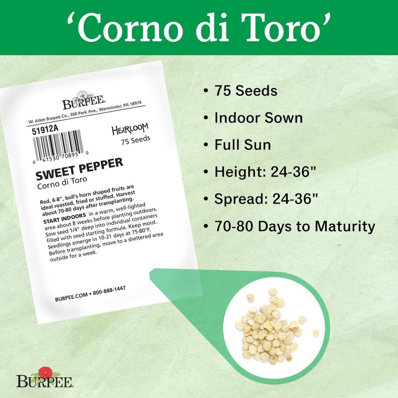Burpee بذور فلفل حلو كورنو دي تورو روسو من بيربي 75 بذور - Image 3