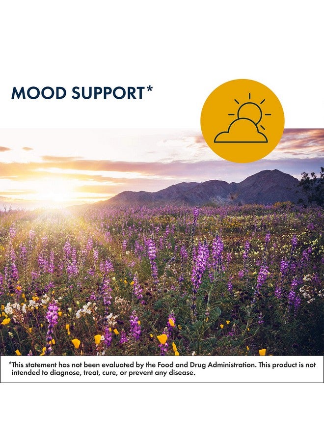 Metabolic Maintenance Lmethylfolate 5Mg Gluten Free & Dairy Free Folate Supplement Supports Cognitive + Brain Health L Methylfolate For Daily Use (90 Capsules) - Image 3