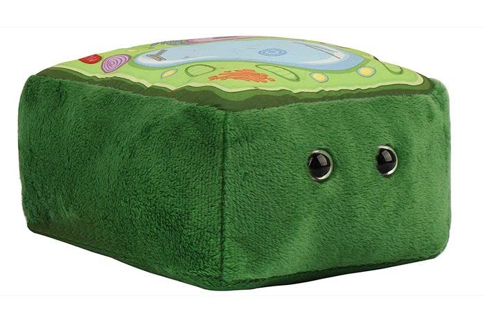 GIANT MICROBES Plant Cell Plush Plant Cell Model Anatomy Model Plant Plush Toy Cell Biology Physiology Biology Classroom Decor Plant Anatomy - Image 1