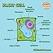 GIANT MICROBES Plant Cell Plush Plant Cell Model Anatomy Model Plant Plush Toy Cell Biology Physiology Biology Classroom Decor Plant Anatomy - Image 2