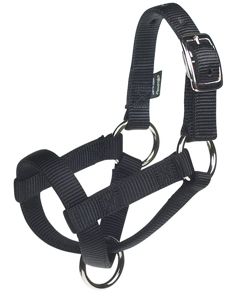 Weaver Leather Livestock Goat Halter , Black, Small/3/4-Inch - Image 5