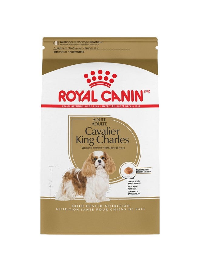 رويال كانين طعام جاف خاص بالكلاب من سلالة كافالير كينج تشارلز سبانييل البالغة، كيس 10 رطل - Image 1