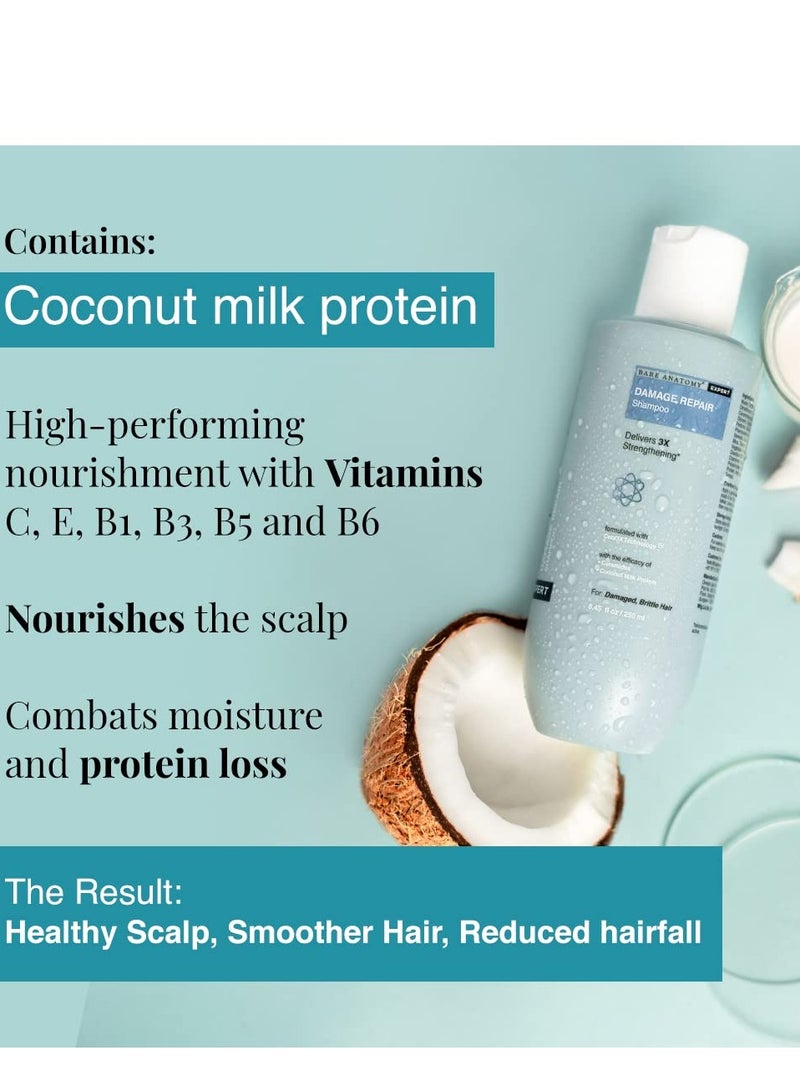 Bare Anatomy Damage Repair Hair Shampoo Provides 3x Strengthening Powered By Ceramide A2 Coconut Milk Protein 250ml - Image 4