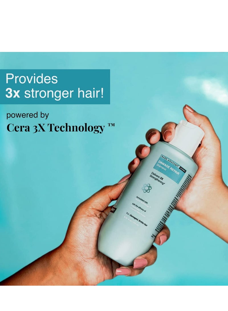 Bare Anatomy Damage Repair Hair Shampoo Provides 3x Strengthening Powered By Ceramide A2 Coconut Milk Protein 250ml - Image 2