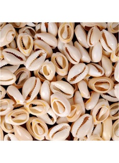 100pcs Natural Spiral Shell Beads Sea Shells Beach Seashells Cowrie Shells Charms and Beads for DIY Craft Jewelry Making Accessories (16~18mm)