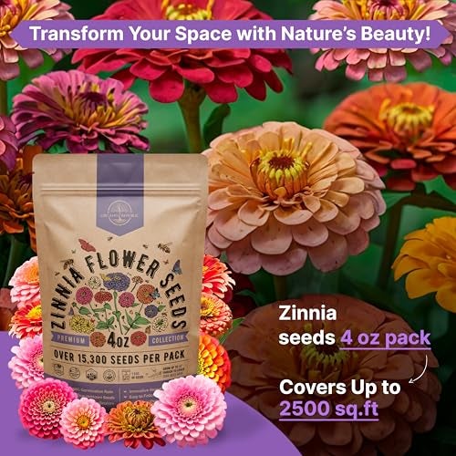 Organo Republic Zinnia Seeds Pack 4 oz - Over 15,300 Non-GMO Heirloom Zinnia Seeds for Planting, Annual Flowers in Individual Seed Packet for Planting Home Garden Indoor & Outdoor Gardening - Image 4