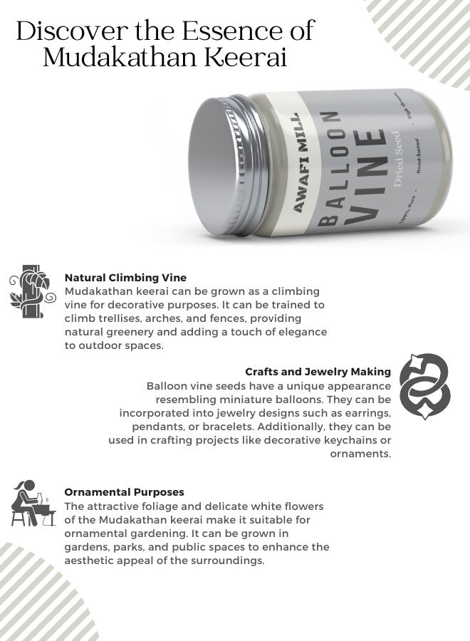 أباميك بذور كرمة البالون | بذور موداكاثان كيراي كارديوسبيرموم هاليكاكابوم - Image 2