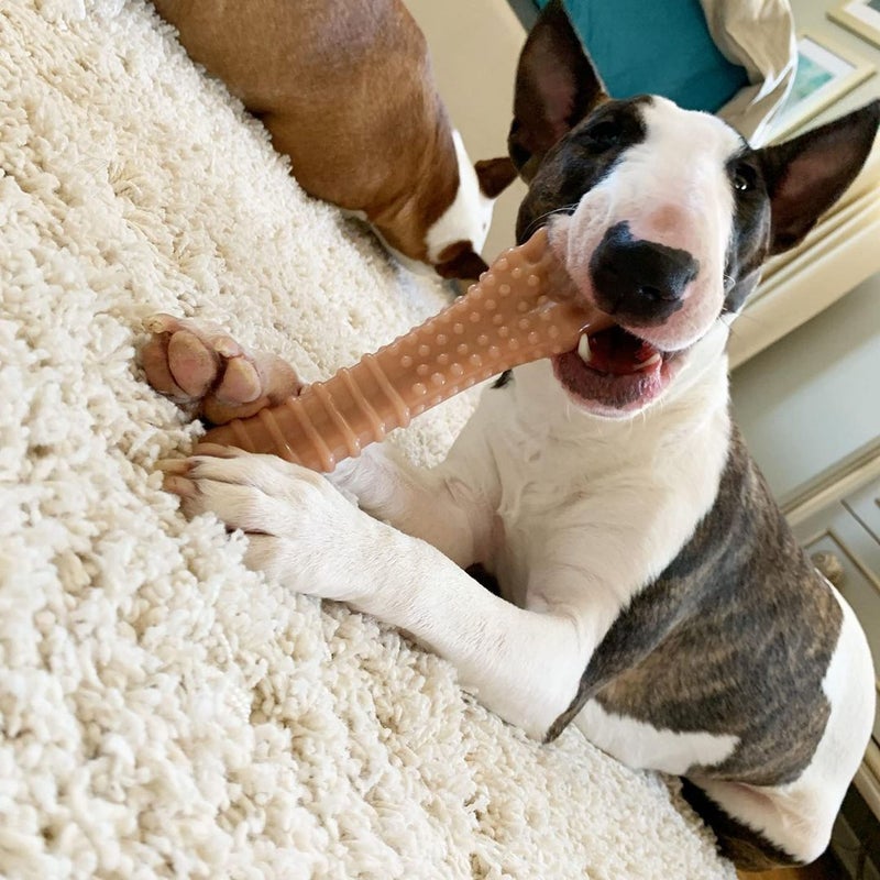 Nylabone Textured Knuckle Bone Power Chew Toy for Dogs, Durable & Tough Dog Toys for Aggressive Chewers, Original & Bacon Flavor, X-Large - 50+ lbs, 2 Pack - Image 3