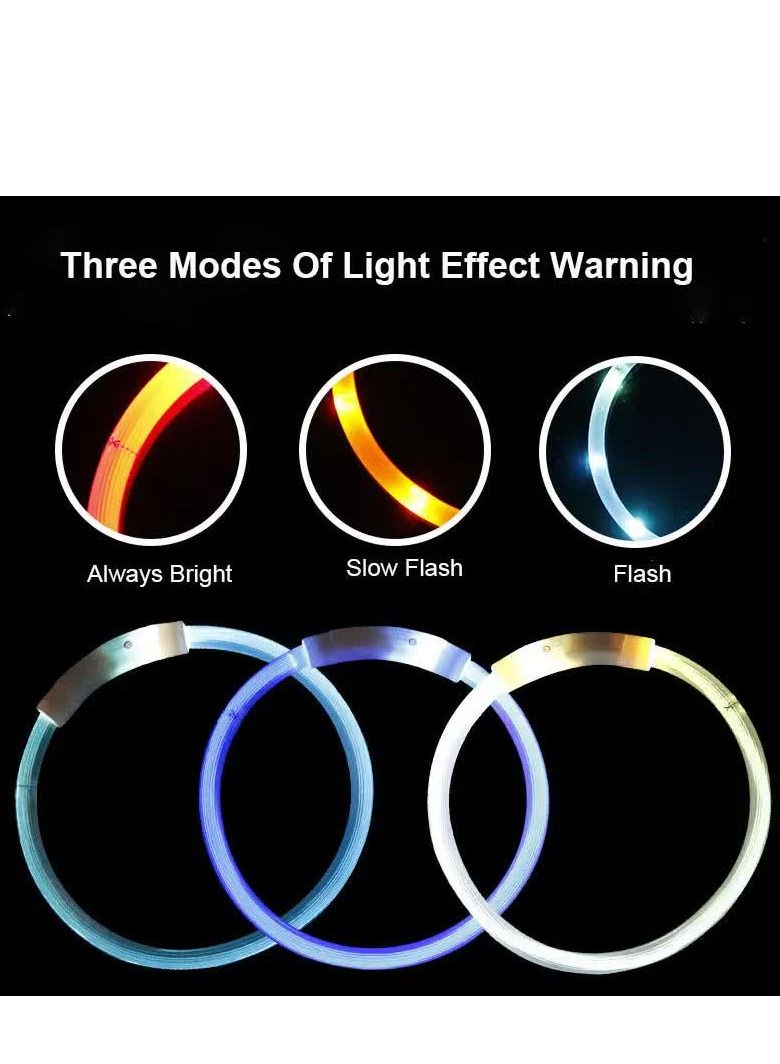 طوق أمان للحيوانات الأليفة مع ضوء LED - Image 2