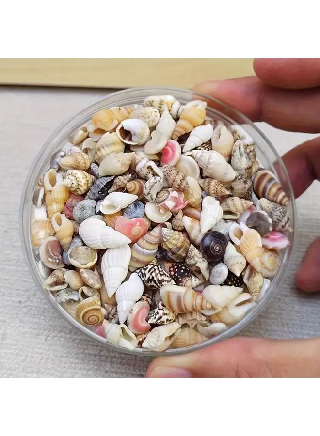 حوالي 300 قطعة من الأصداف الصغيرة الملونة لأعمال الحرف اليدوية DIY وفن الكولاج وتزيين أحواض الأسماك - Image 3