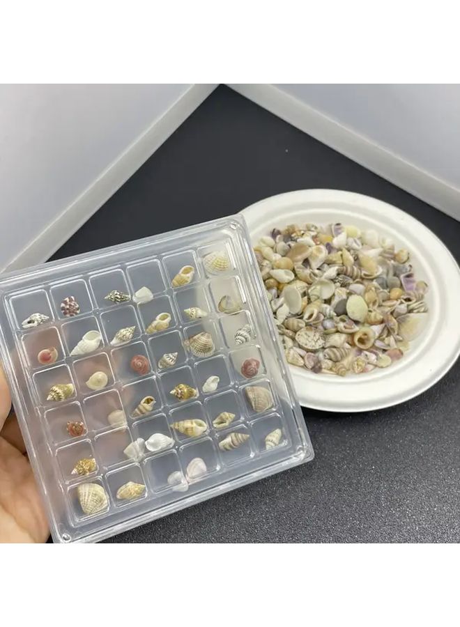 حوالي 300 قطعة من الأصداف الصغيرة الملونة لأعمال الحرف اليدوية DIY وفن الكولاج وتزيين أحواض الأسماك - Image 5