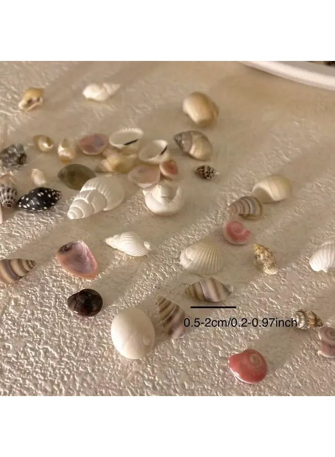 حوالي 300 قطعة من الأصداف الصغيرة الملونة لأعمال الحرف اليدوية DIY وفن الكولاج وتزيين أحواض الأسماك - Image 4