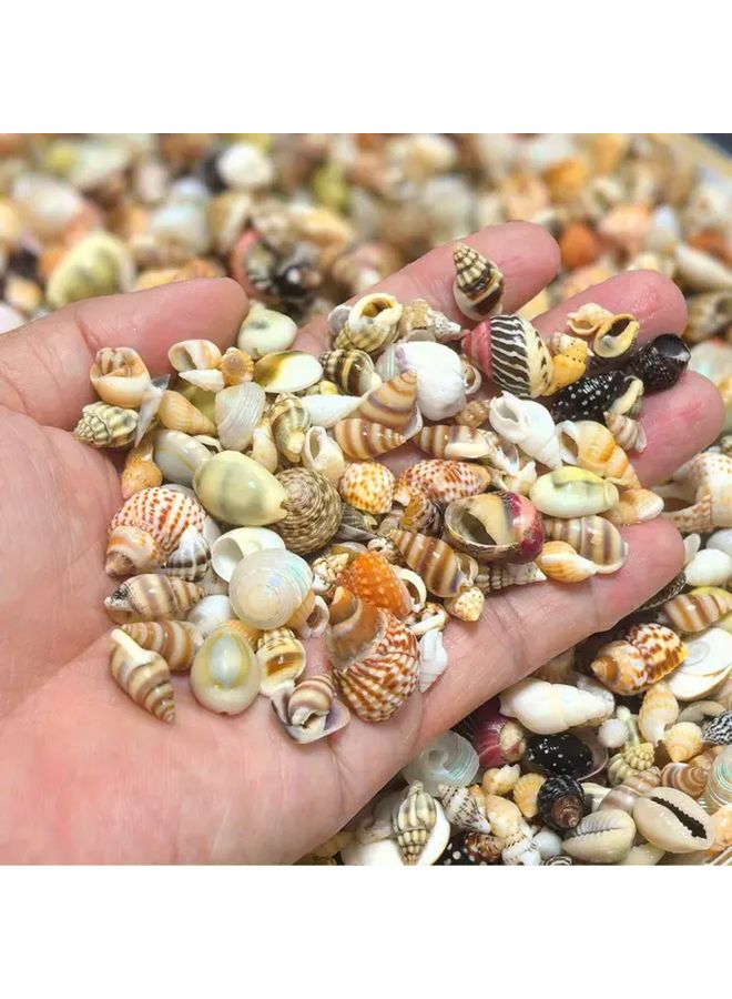 حوالي 300 قطعة من الأصداف الصغيرة الملونة لأعمال الحرف اليدوية DIY وفن الكولاج وتزيين أحواض الأسماك - Image 2