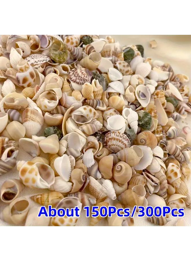 حوالي 300 قطعة من الأصداف الصغيرة الملونة لأعمال الحرف اليدوية DIY وفن الكولاج وتزيين أحواض الأسماك - Image 1