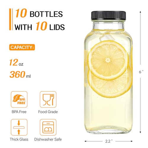 TUZAZO 10 Pack 12 Oz Glass Juice Bottles with Lids Reusable Travel Drinking Jars Containers Glass Bottles for Juicing Smoothies Kombucha Milk Coffee with Brush Straws Lids with Hole - Image 3