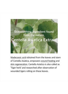 mixsoon Soondy Centella Asiatica Essence,Cica Extract, Soothe Sensitive and Irritated Skin  3.38 fl oz/ 100ml  - Image 4
