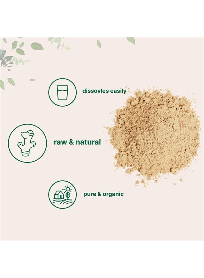 Micro Ingredients مسحوق الزنجبيل العضوي، 2 رطل (32 أونصة) | مصدر متميز للتوابل والتوابل | رائع للخبز والطهي والشاي | خالي من الإضافات، غير معدّل وراثيًا، إمدادات بالجملة - Image 3