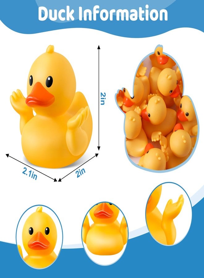 ANGGIKO 12 Pack Rubber Ducks for Jeeps, Ducks for Ducking, Yellow Mini Ducks in Bulk, Small Funny Rubber Ducks Baby Shower Toys, Kids Bath Summer Beach Pool Toys Birthday Gifts Party Favors - Image 2