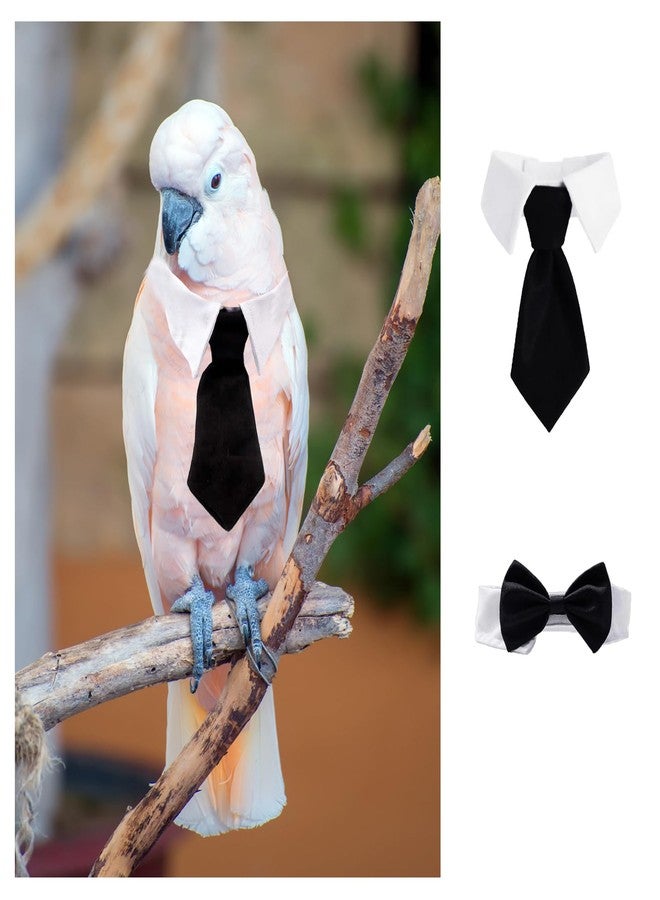 TTFdacai 2 Pcs Bird Collar, Cute Pet Parrot Collar, Pet Birds Costume, Costume Photo Prop for Parrots for Budgerigars, Lovebirds, Long-Tailed Parrots, Cockatoos, Rainbow Lorikeets, and Finches.(Necktie+Bowtie) - Image 5