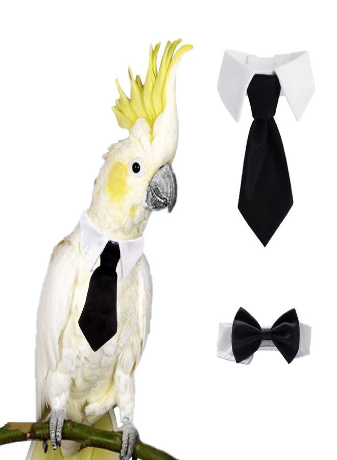TTFdacai 2 Pcs Bird Collar, Cute Pet Parrot Collar, Pet Birds Costume, Costume Photo Prop for Parrots for Budgerigars, Lovebirds, Long-Tailed Parrots, Cockatoos, Rainbow Lorikeets, and Finches.(Necktie+Bowtie) - Image 1