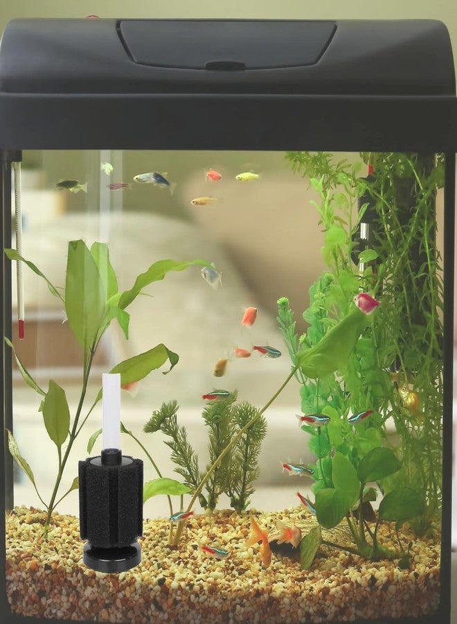 Scroll Store Biochemical Small Sponge Filter for Aquarium | XY-2835 | with 3 Meter Air Tube - Image 2