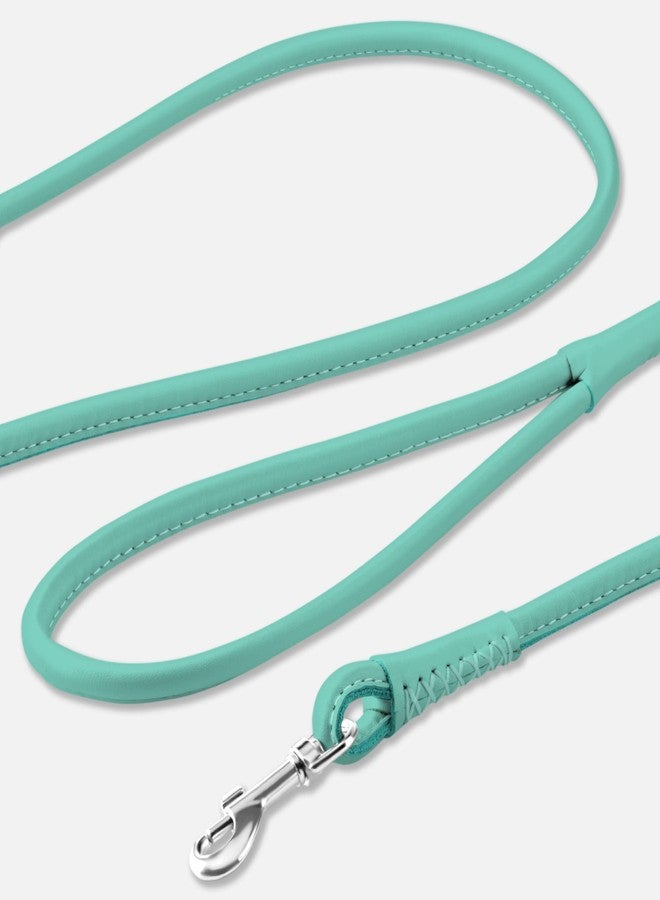 CollarDirect Rolled Leather Dog Leash 4ft, Soft Padded Training Leather Dog Lead 6ft, Puppy Leash Rolled Leather Small Medium Large Black Blue Red Orange Green Pink White (Mint Green, Size XL 6ft) - Image 2