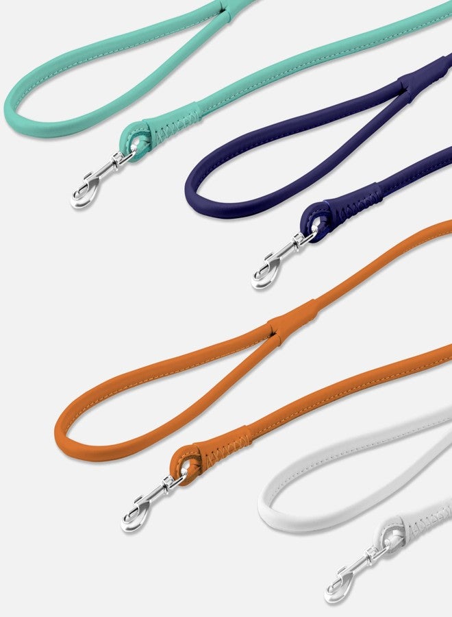 CollarDirect Rolled Leather Dog Leash 4ft, Soft Padded Training Leather Dog Lead 6ft, Puppy Leash Rolled Leather Small Medium Large Black Blue Red Orange Green Pink White (Mint Green, Size XL 6ft) - Image 5