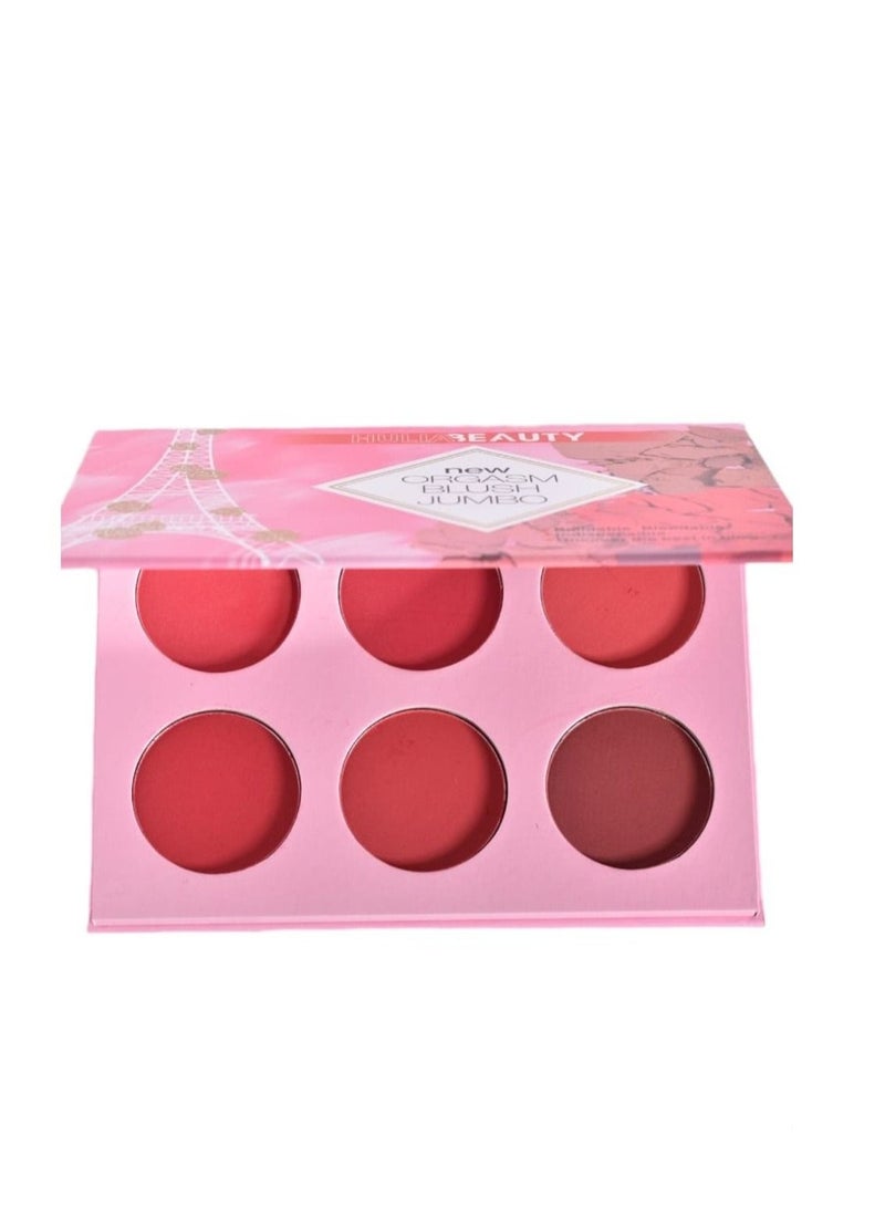 هوليا بيوتي علبة أحمر خدود مكونة من 6 ألوان - Image 2