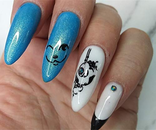 Mezerdoo 2Pcs Snakeskin Pattern Nail Stamping Template Cute Facial Expression Feather Nail Design Stamping Plate Skull Leopard Nail Art Image Plate 14.5×9.5cm Stainless Steel Nail Stencil Tools - Image 5