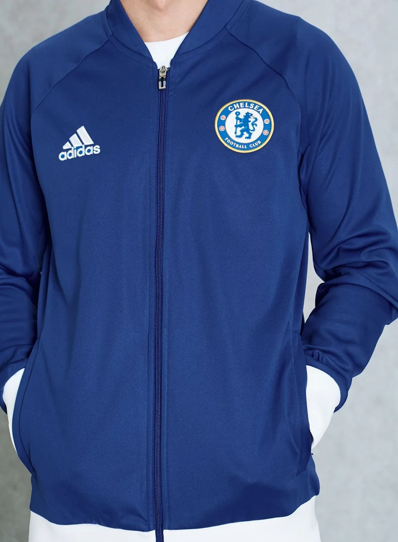 Adidas Chelsea Anthem Jacket