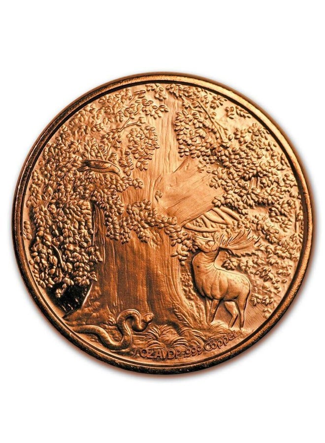 Heavenly Metals عملة سبيكة نحاسية خالصة .999 بوزن 1 أونصة من سيرنونس السلتي في كبسولة مع شهادة الأصالة - Image 3