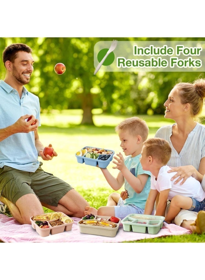 4 Pack Bento Lunch Box, 4 Compartment Wheat Straw Meal Prep Containers for Kids/Toddle/Adults, BPA Free Reusable Food Snack Storage Containers, Durable Bento Box for School, Work and Travel - Image 4