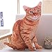 Maomoto 196 Cat Throw Pillow Plushie Cushion Doll 3D Simulation Cat Plush Stuffed Animal Cushion Pillow Toy for Kids Sofa Chair Home Decor Orange - Image 2