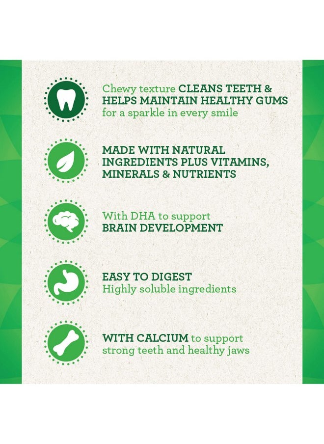 Greenies - Greenies Puppy 6+ Months Regular Natural Dog Dental Care Dog Treats, 12 oz. Pack (12 Treats) - Image 1
