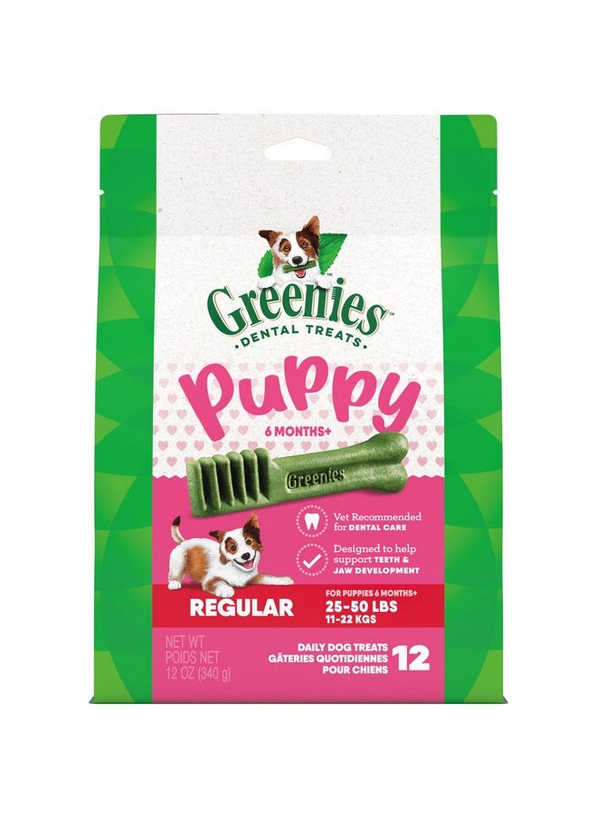 Greenies - Greenies Puppy 6+ Months Regular Natural Dog Dental Care Dog Treats, 12 oz. Pack (12 Treats) - Image 1