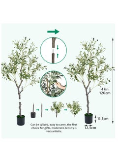 INFOSUN Artificial Olive Tree, Faux Olive Plant, Dedicated to Indoor Decoration, Simulation of Tall Tree Plants, Holiday Decorations Christmas Tree, Real Touch Technology, Artificial Plant with multiple Trunks, Ideal for Home Office Indoor Decoration  - Image 4