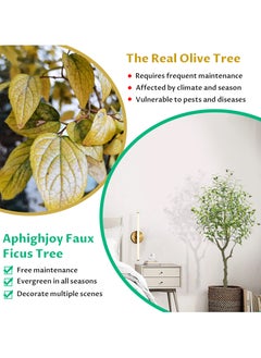 INFOSUN Artificial Olive Tree, Faux Olive Plant, Dedicated to Indoor Decoration, Simulation of Tall Tree Plants, Holiday Decorations Christmas Tree, Real Touch Technology, Artificial Plant with multiple Trunks, Ideal for Home Office Indoor Decoration  - Image 2