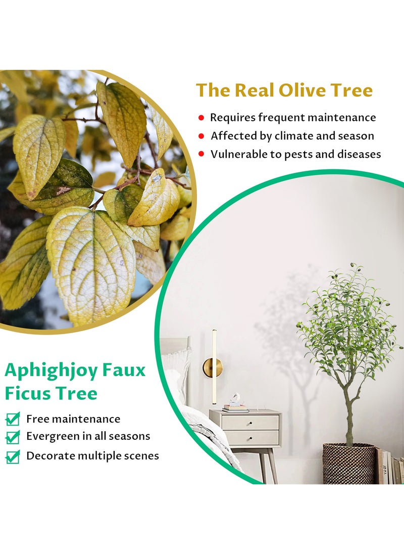 INFOSUN Artificial Olive Tree, Faux Olive Plant, Dedicated to Indoor Decoration, Simulation of Tall Tree Plants, Holiday Decorations Christmas Tree, Real Touch Technology, Artificial Plant with multiple Trunks, Ideal for Home Office Indoor Decoration  - Image 2