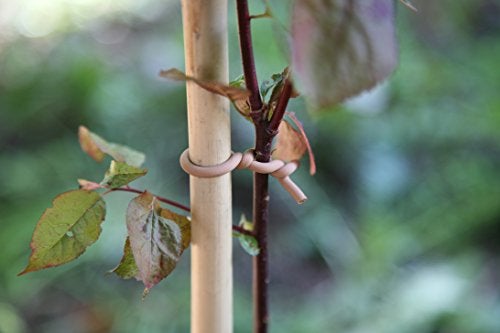 Tierra Garden 50-3030 Haxnicks Slim Soft Tie for Plants & Trees, 26.3', Woody - Image 3