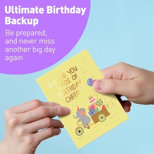 Sweetzer & Orange S&O Box of Birthday Cards with Envelopes - Bulk 24 Unique Happy Day Notes - Colorful Birthday Decor Bulk for Office & Home - Assorted Party Cards with Envelopes - 4x5.5” - Image 5