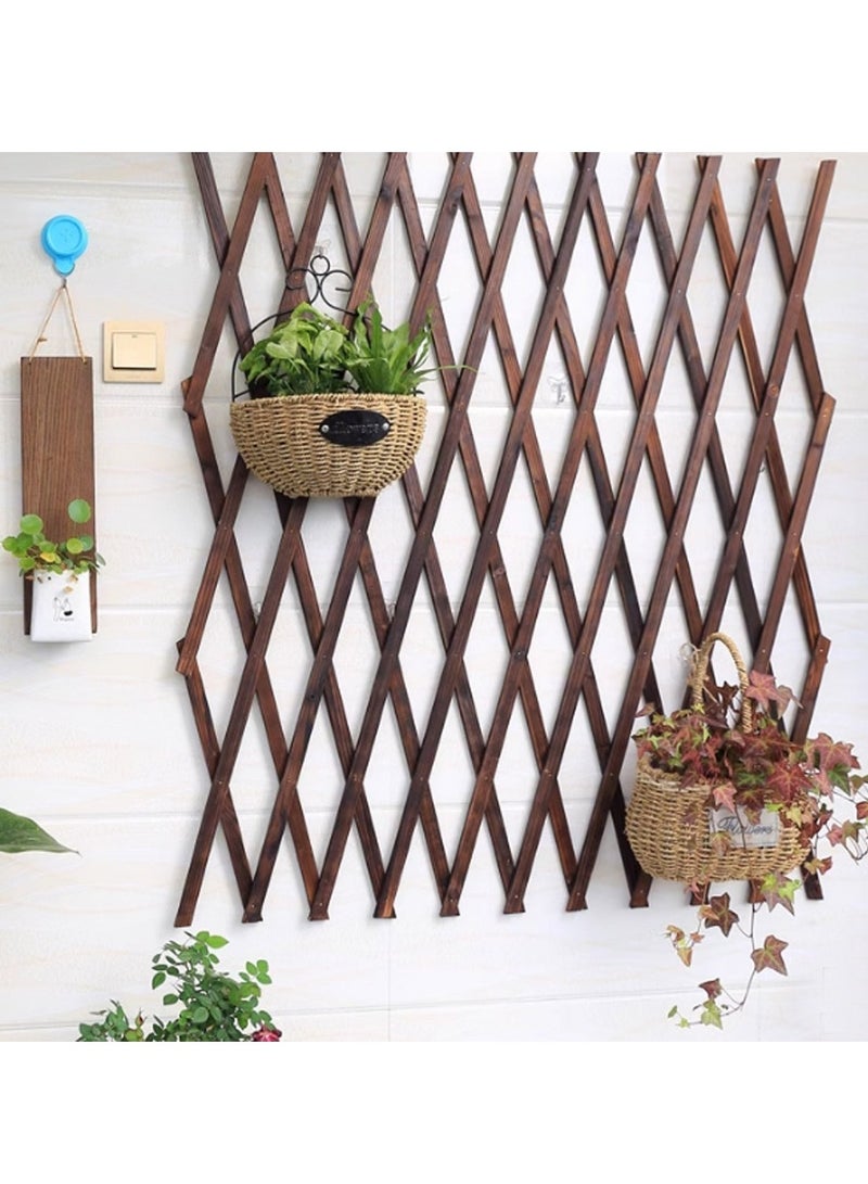 Generic 𝐅𝐅𝐃 Expandable Wooden Garden Fence Trellis – Natural Wood Lattice Panel for Climbing Plants, Outdoor Decorative Screen, Adjustable Wall-Mounted Plant Support for Garden, Balcony, Indoor & Outdoor Use  - Image 1