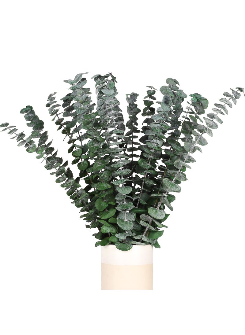 HIAGROW HIAGROW Real Eucalyptus Stems 20PCS Shower Eucalyptus Hanging 17inch Dried Eucalyptus Sprigs Greenery Plant for Shower Wedding Festival Home Spring Decoration 