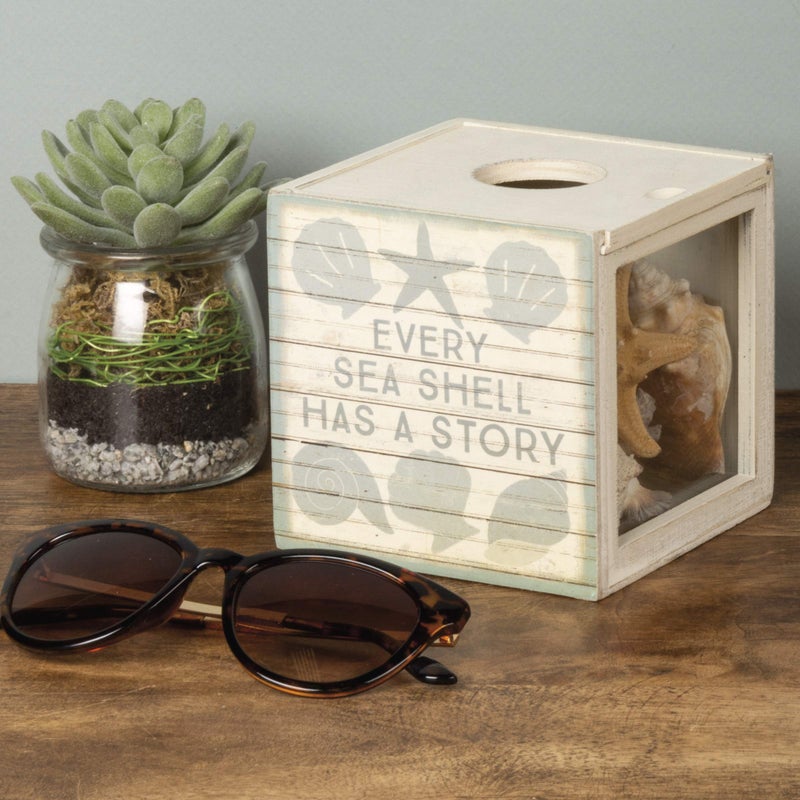 Primitives by Kathy Seashell Holder - Coastal Decor, Glass Display, Treasure Chest, Room and Bedroom Decor - Image 4