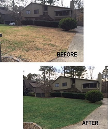 EnviroColor إنفايروكولور 4EG0032 851612002100 (1,000 قدم مربع) طلاء العشب والنباتات 4Evergreen، أخضر - Image 3